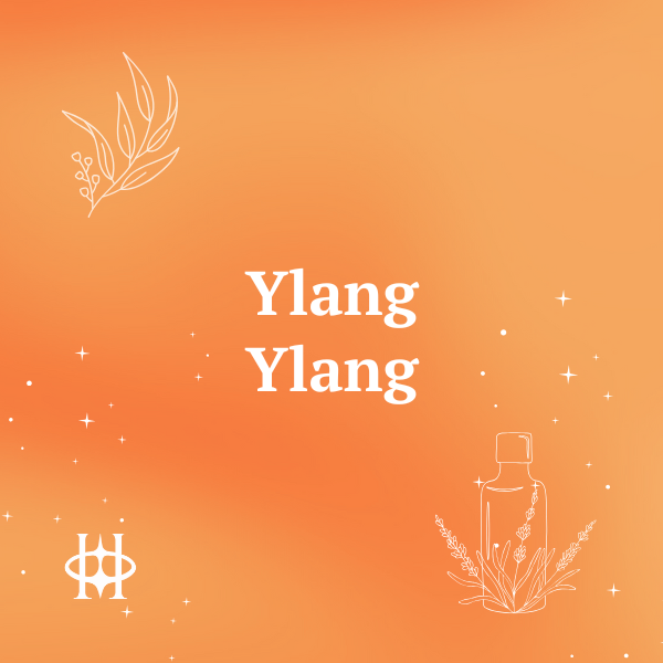 Ylang Ylang