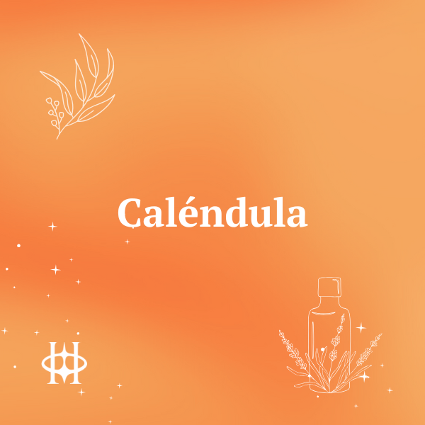 Calendula